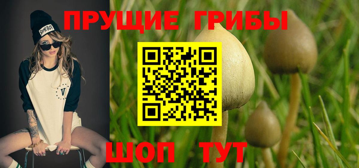 Псилоцибиновые грибы мицелий  Вход с VPN  Таганрог 